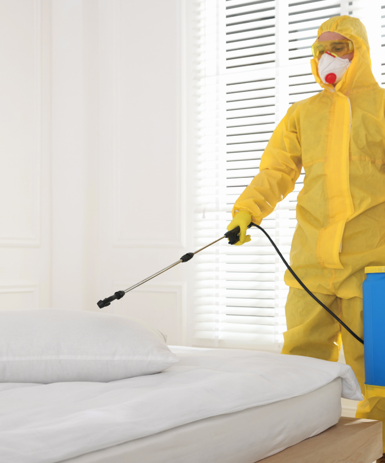 Professional Pest Control Team in Joslin